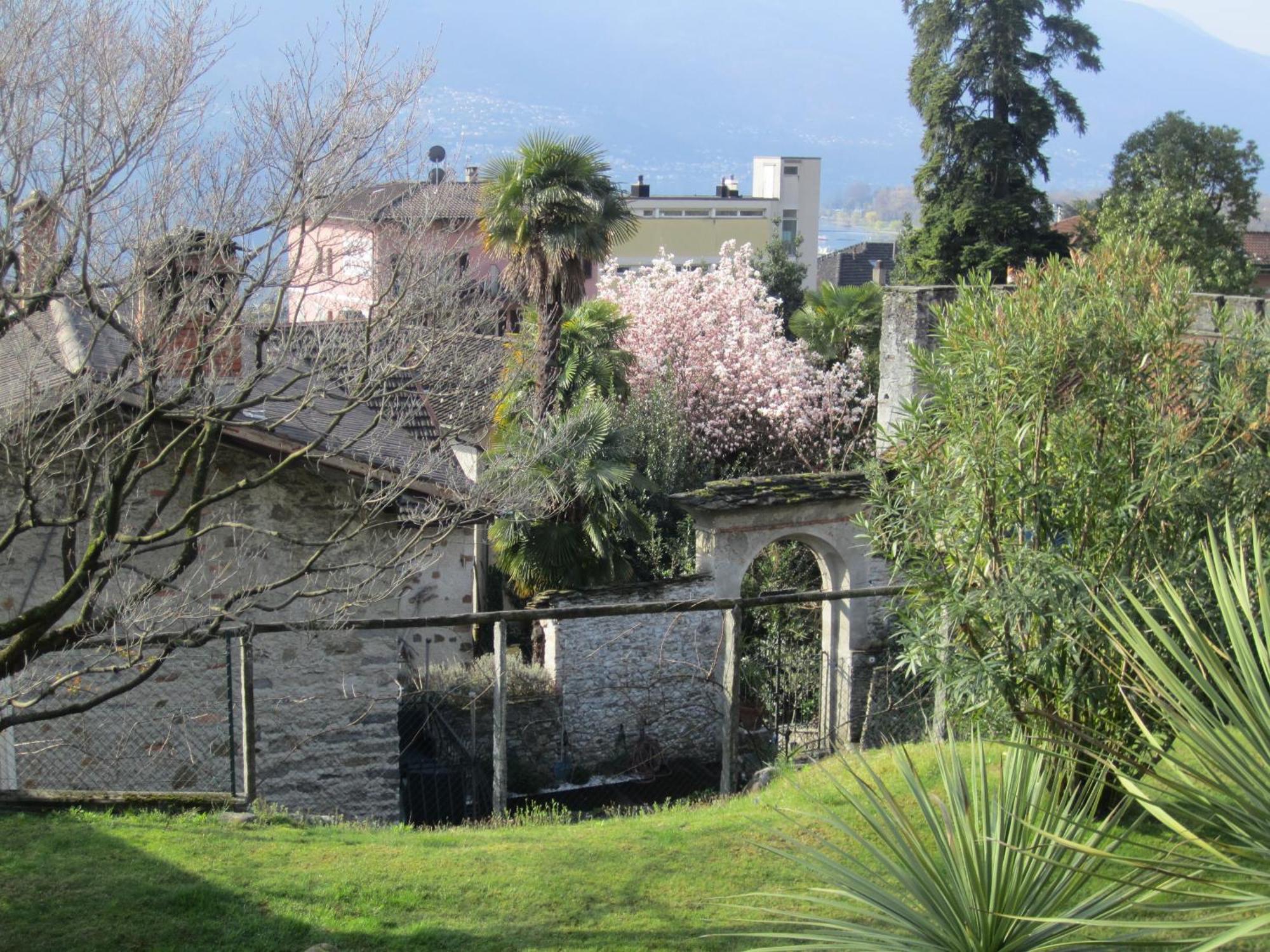 Muralto-Locarno: Miramonti Apt. 8 Dış mekan fotoğraf